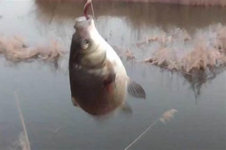 八月十五几点钓鱼比较合适？