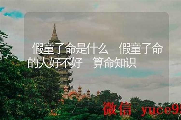 假童子的命好不好？