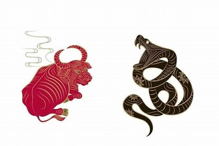 属牛和属蛇合婚吗？