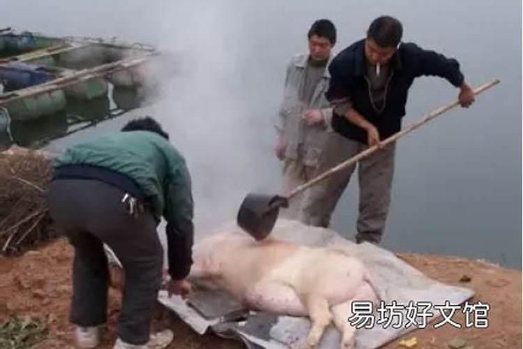 腊月捡死动物好不好？