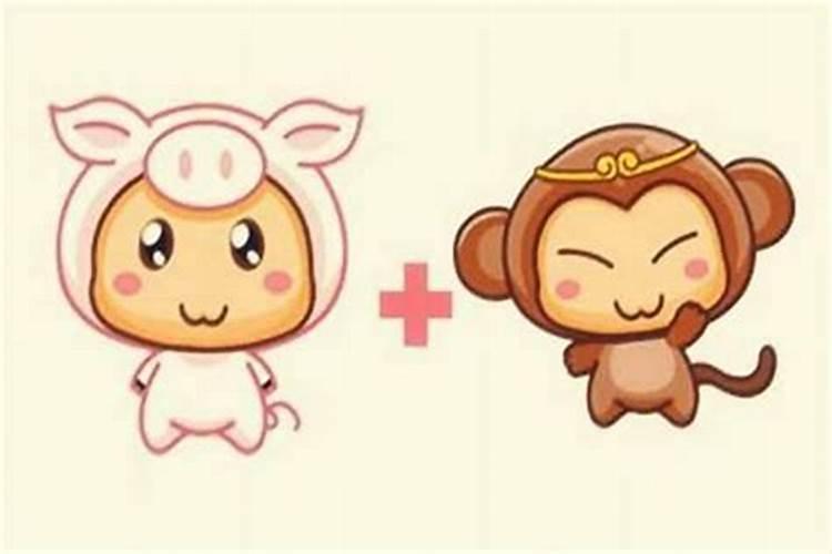 属兔和属猪八字合吗？