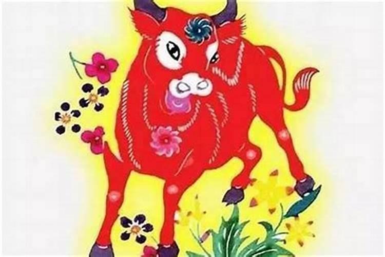 牛宝宝立冬后出生好不好？