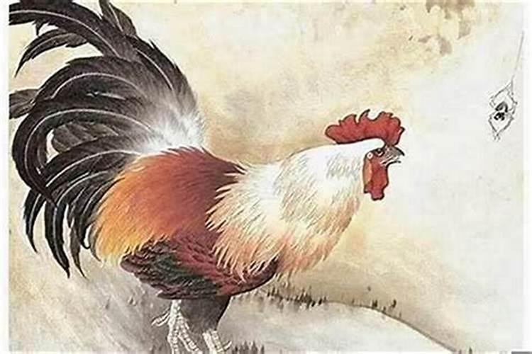 两个属鸡的合婚化解