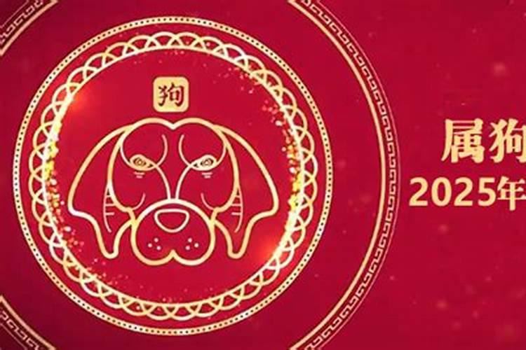 属狗人的2026年运势运程