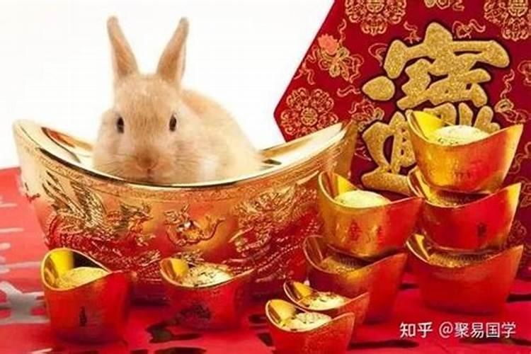 属兔正月出生的运程