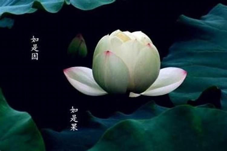 堕胎后有阴债表现