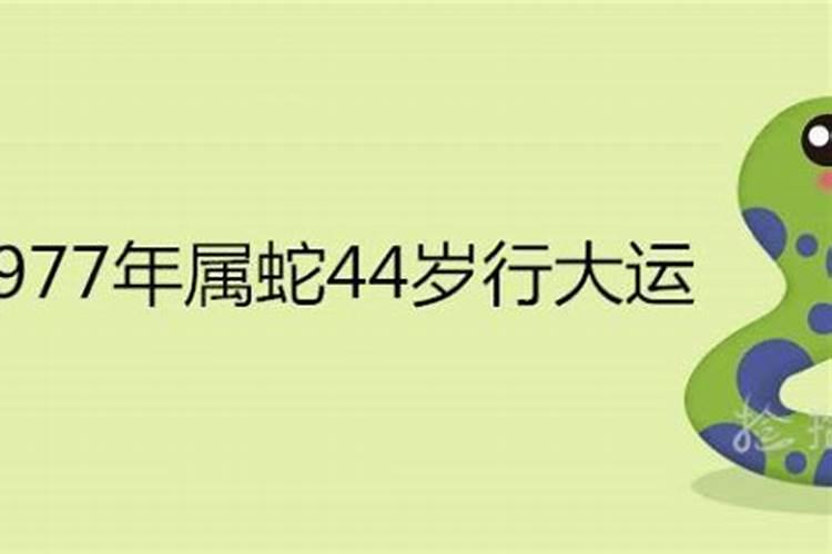 1977年属蛇的一生运势