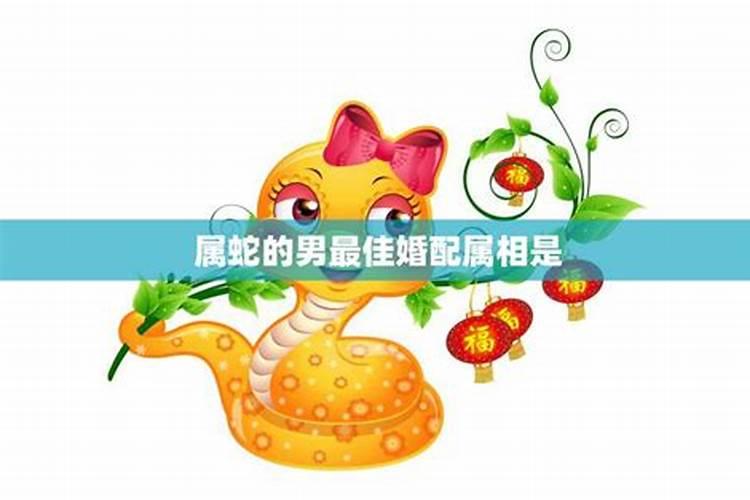 男属蛇婚配哪个属相合适？