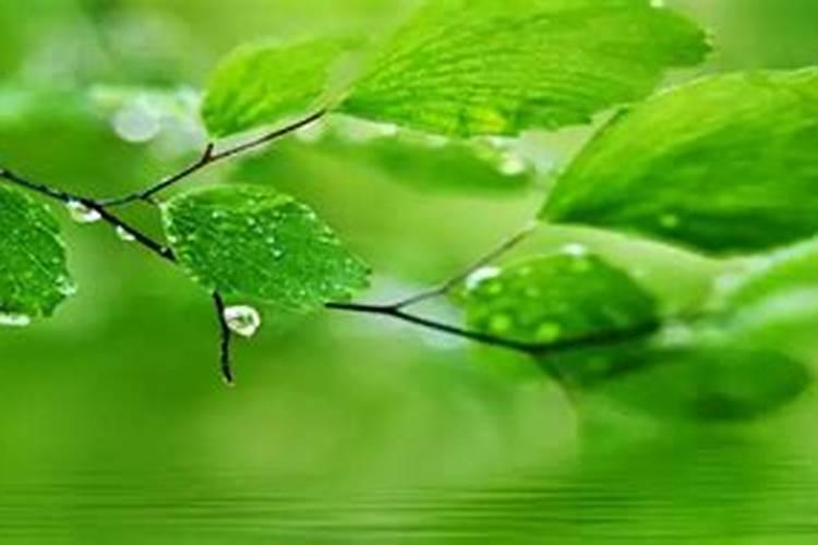 86年正月初一出生的男人