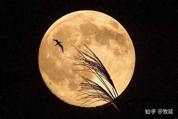 八月十五拜月拜几下？