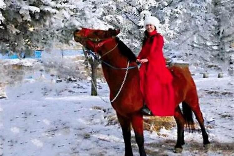 梦见红马什么意思啊？