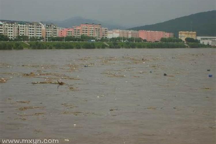 梦见发大水预示啥意思啊？