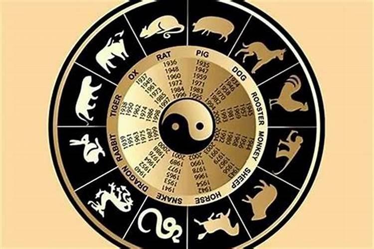 属相不合星座合能在一起吗？