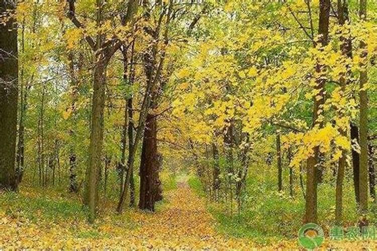 立秋时期要注意哪些事宜？