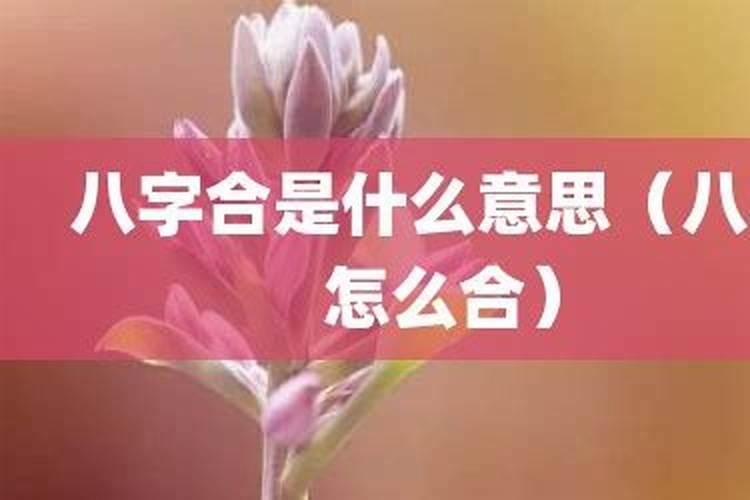 八字被合指的是什么意思？