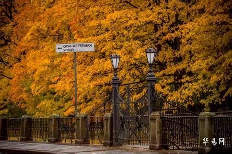 立秋后出生的宝宝小名叫什么？