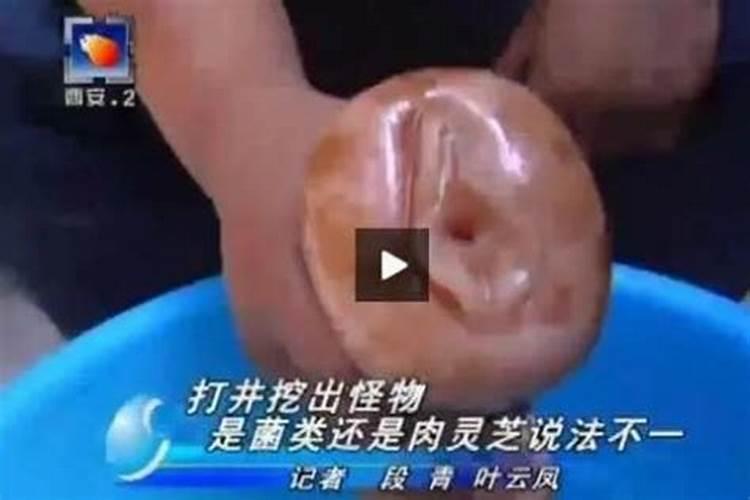 说起来太岁,就想起来那个女记者