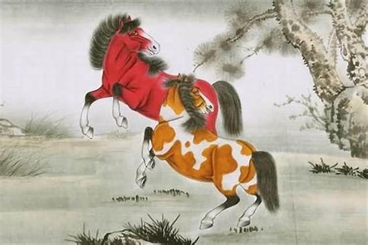属马的运程怎么样？