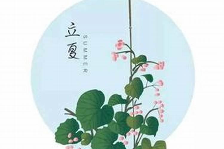 立夏的风俗有哪些好玩？