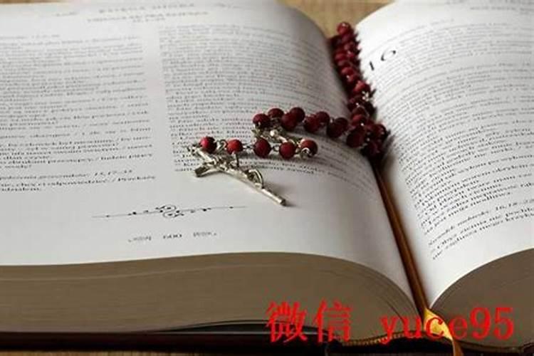 男女主八字不合