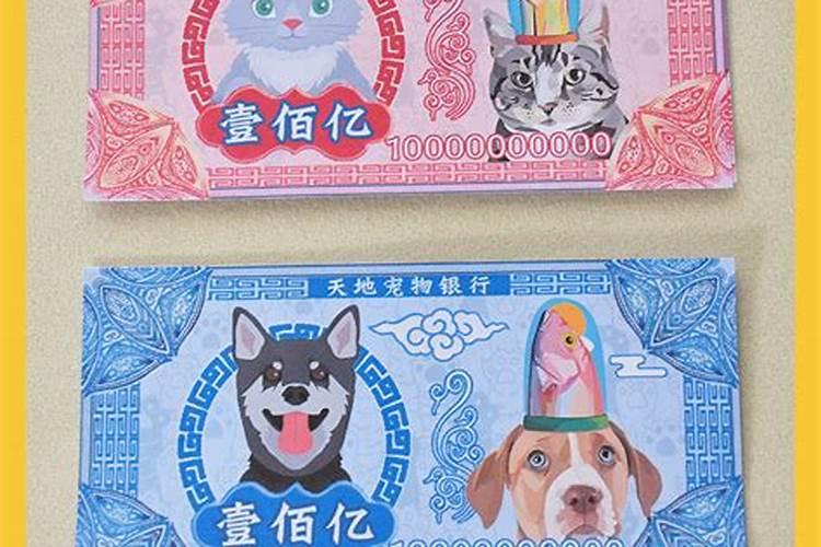 清明节如何祭奠宠物？