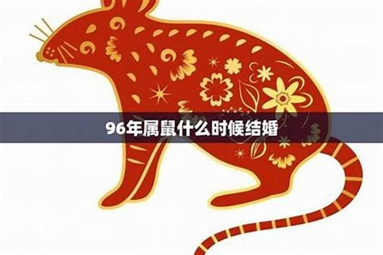 96年属鼠今年的运势