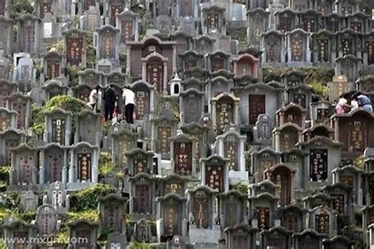 梦见坟地是怎么回事儿？