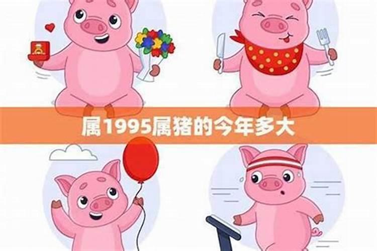 属猪今年9月运程如何？