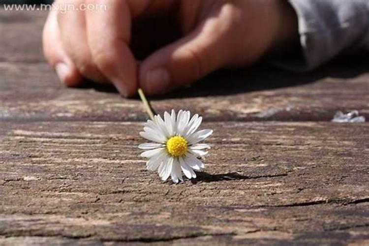 梦见家里办白事什么预兆？