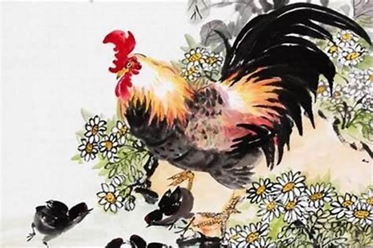 1981年属鸡明年的运程