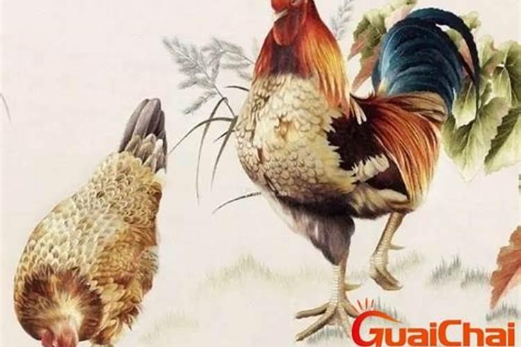 53岁属鸡今年的运势