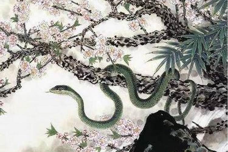 属蛇人生于正月初一命运