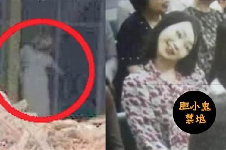 梦见墓里出来个女人