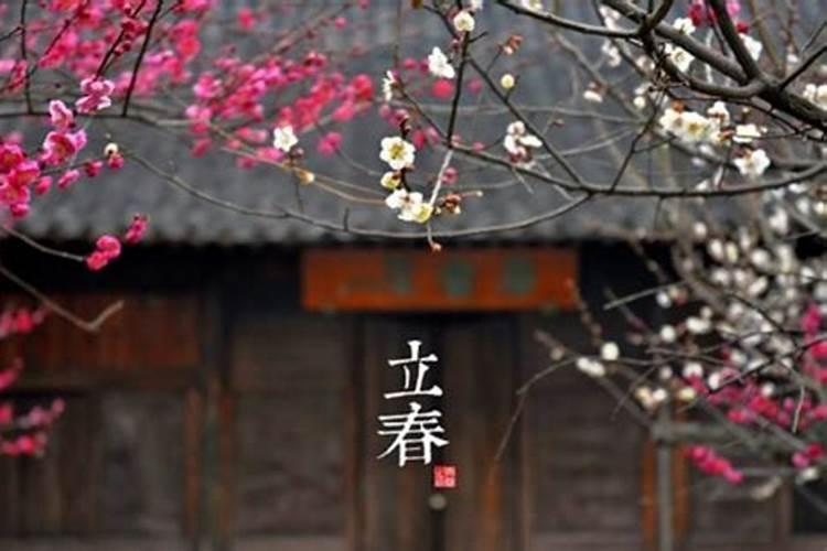 有关立春的知识习俗