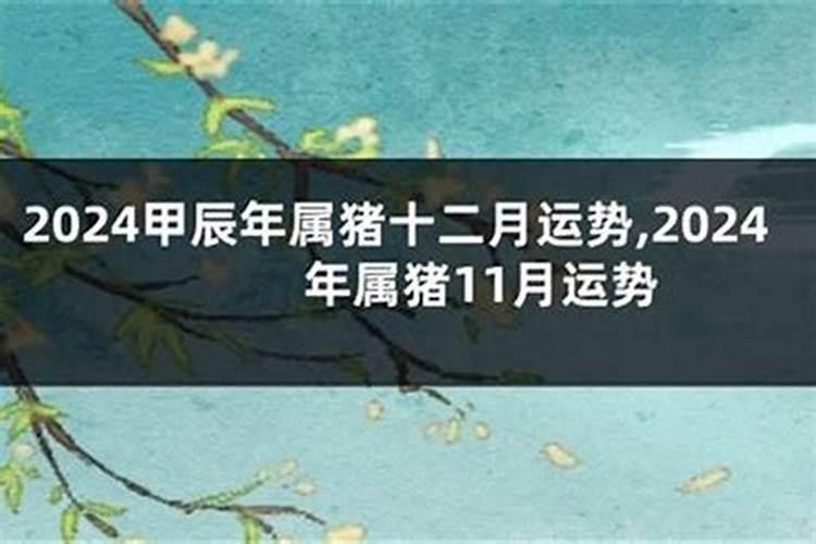 属猪的今年10月运势2026年