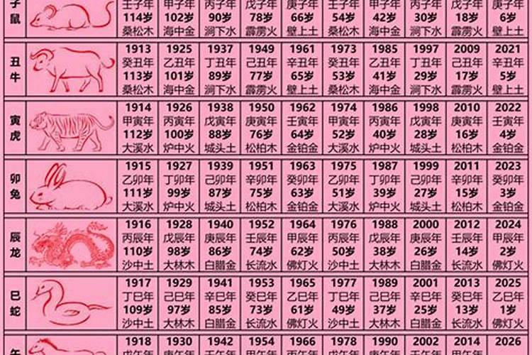 属狗的年份