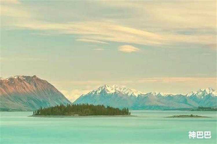 女命寅巳相害离婚