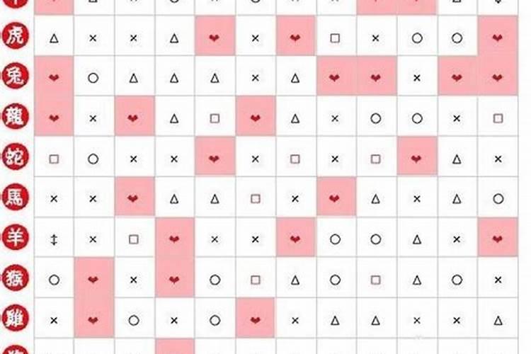 86年婚配属相配龙好吗？