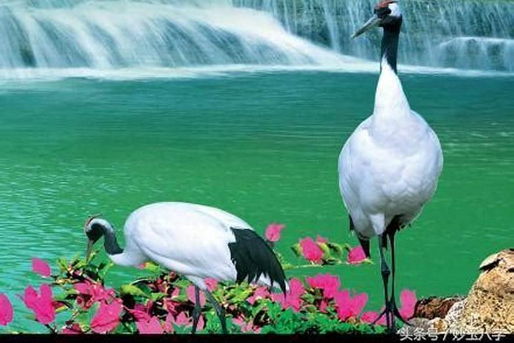 合婚相同和相生哪个重要？