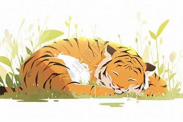 梦见老虎在屋里睡觉