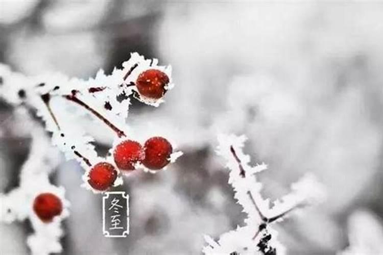 冬至起居要注意什么？