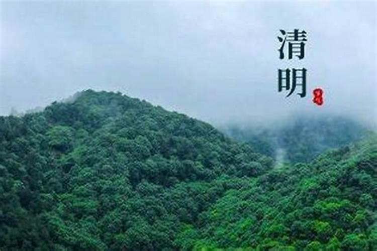 不到清明节可以添坟吗请问？