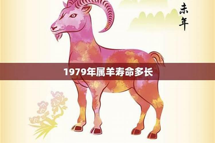 1979年属羊7月运势如何？