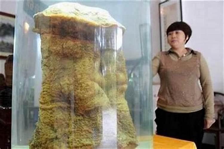 太岁到底长什么样？