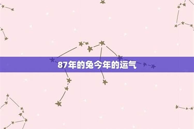 87年的兔子今年运势怎样？