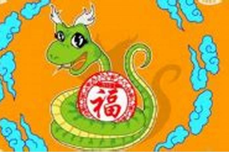 猪年属蛇的人运程怎么样？