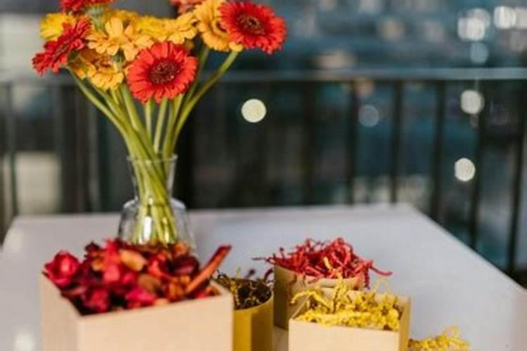 75年出生的兔女2026年运程