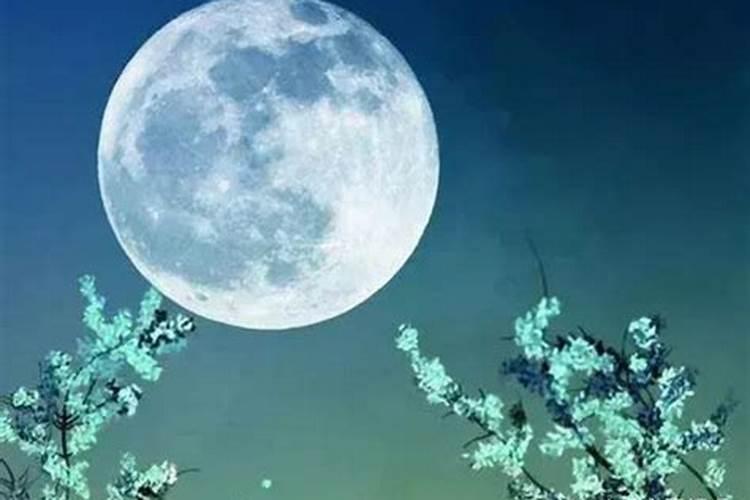 八月十五命好吗？