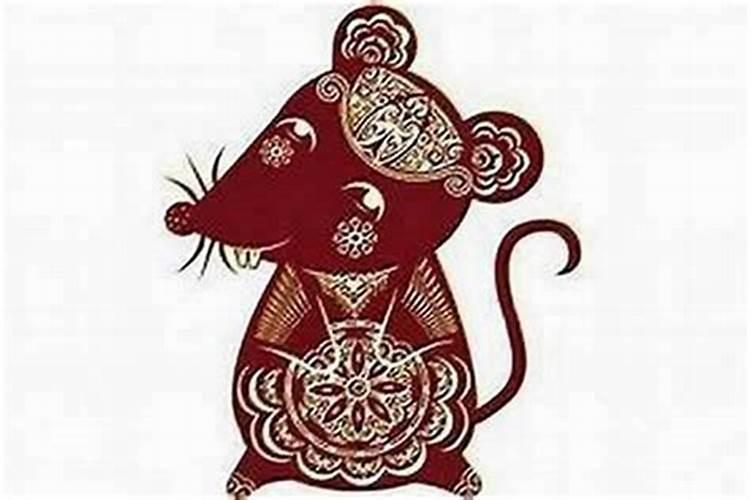 属鼠带什么提高财运？