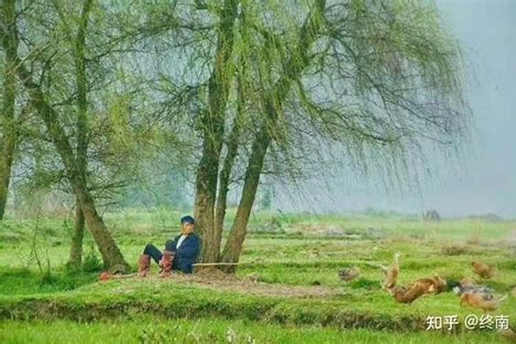 清明节我们去哪里？